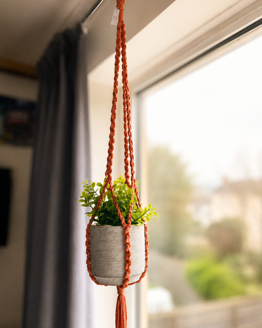 Hanging plant in a macrame holder by a window