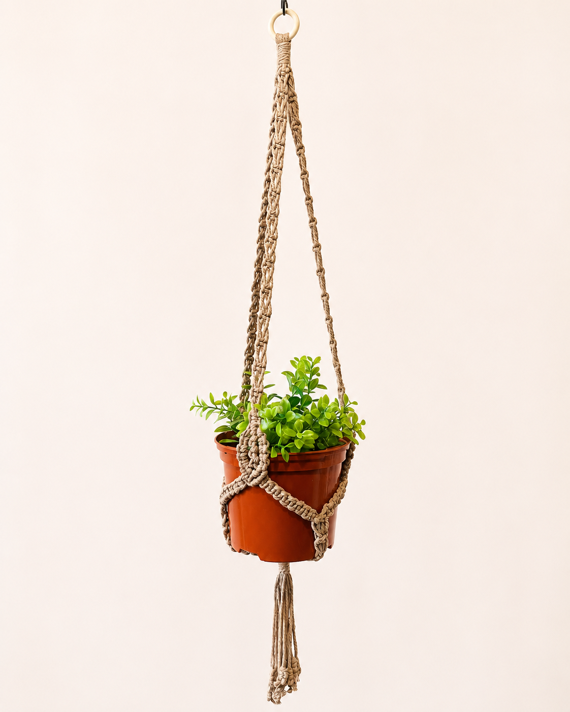 Boho hanging planter with green indoor plant in handmade macrame plant holder