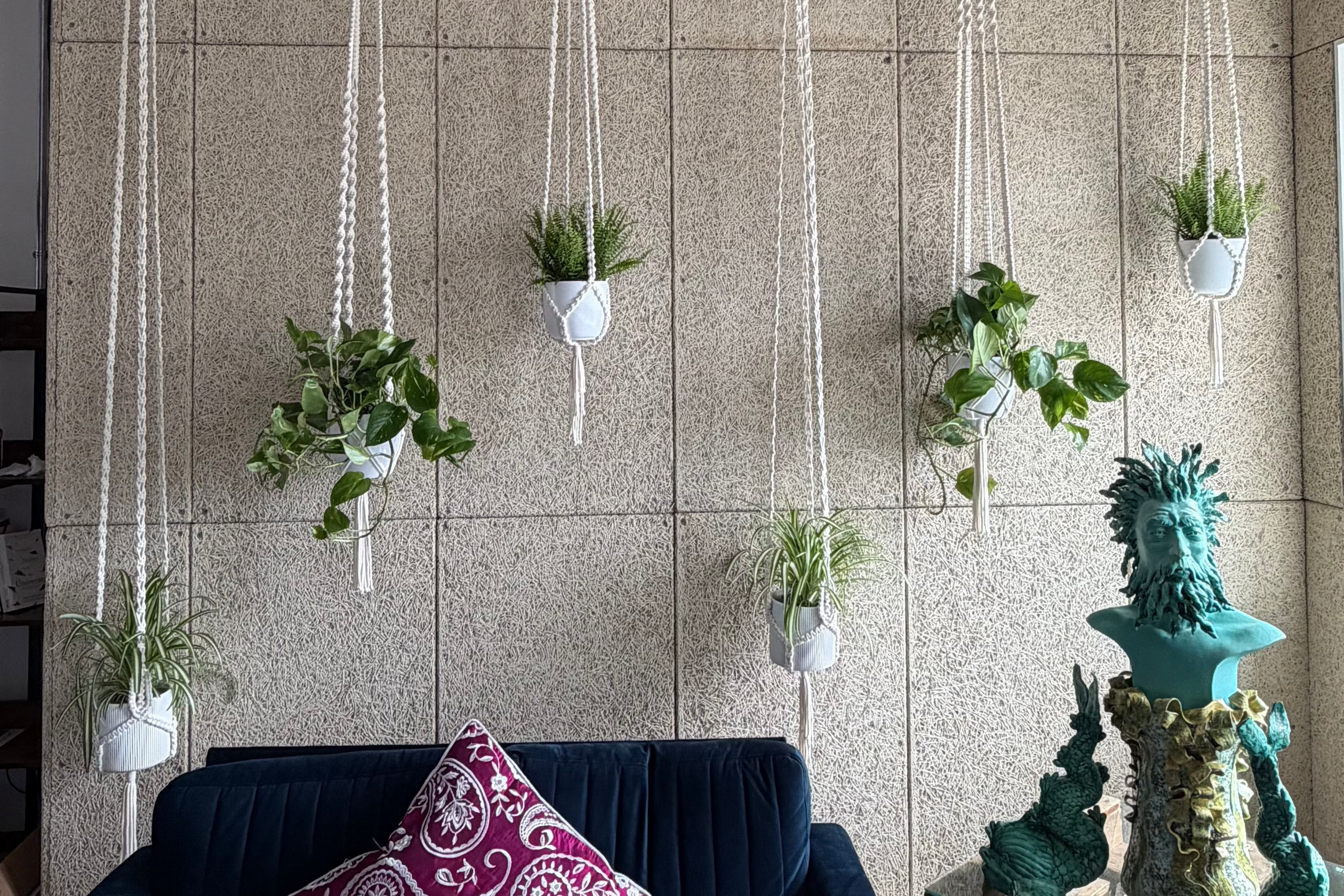 Six handmade macrame plant hangers installed at Harmonic Haven wellbeing studio in Hastings