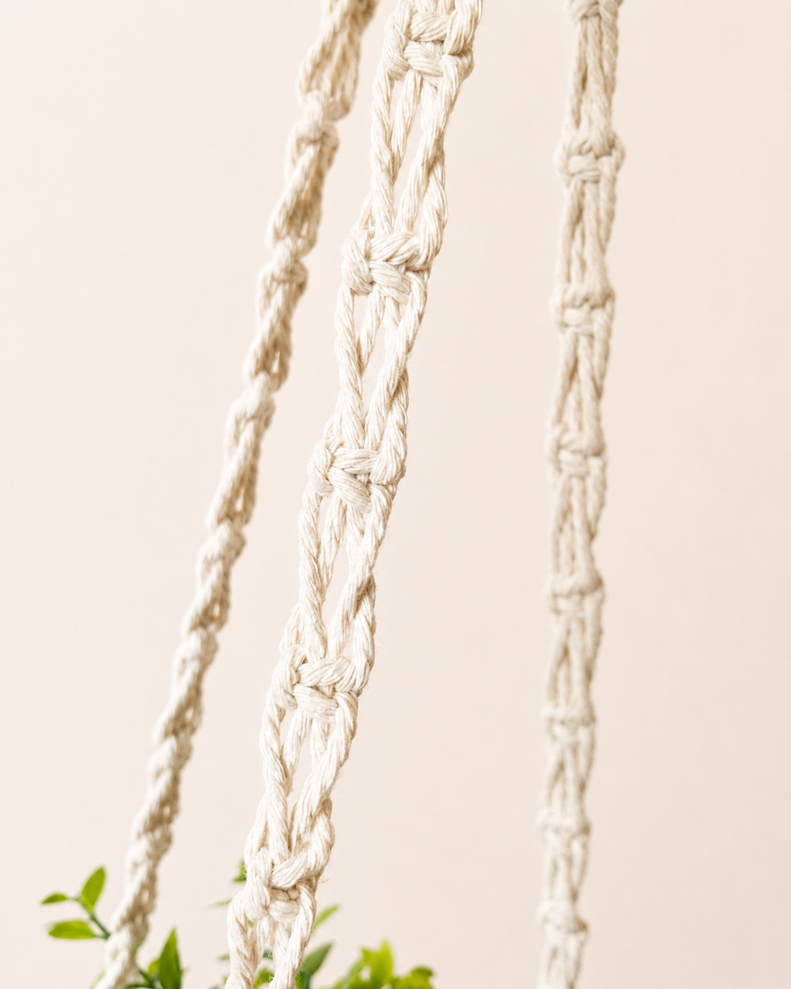 Close up of detailed knotted cotton cord on handmade macrame plant hanger