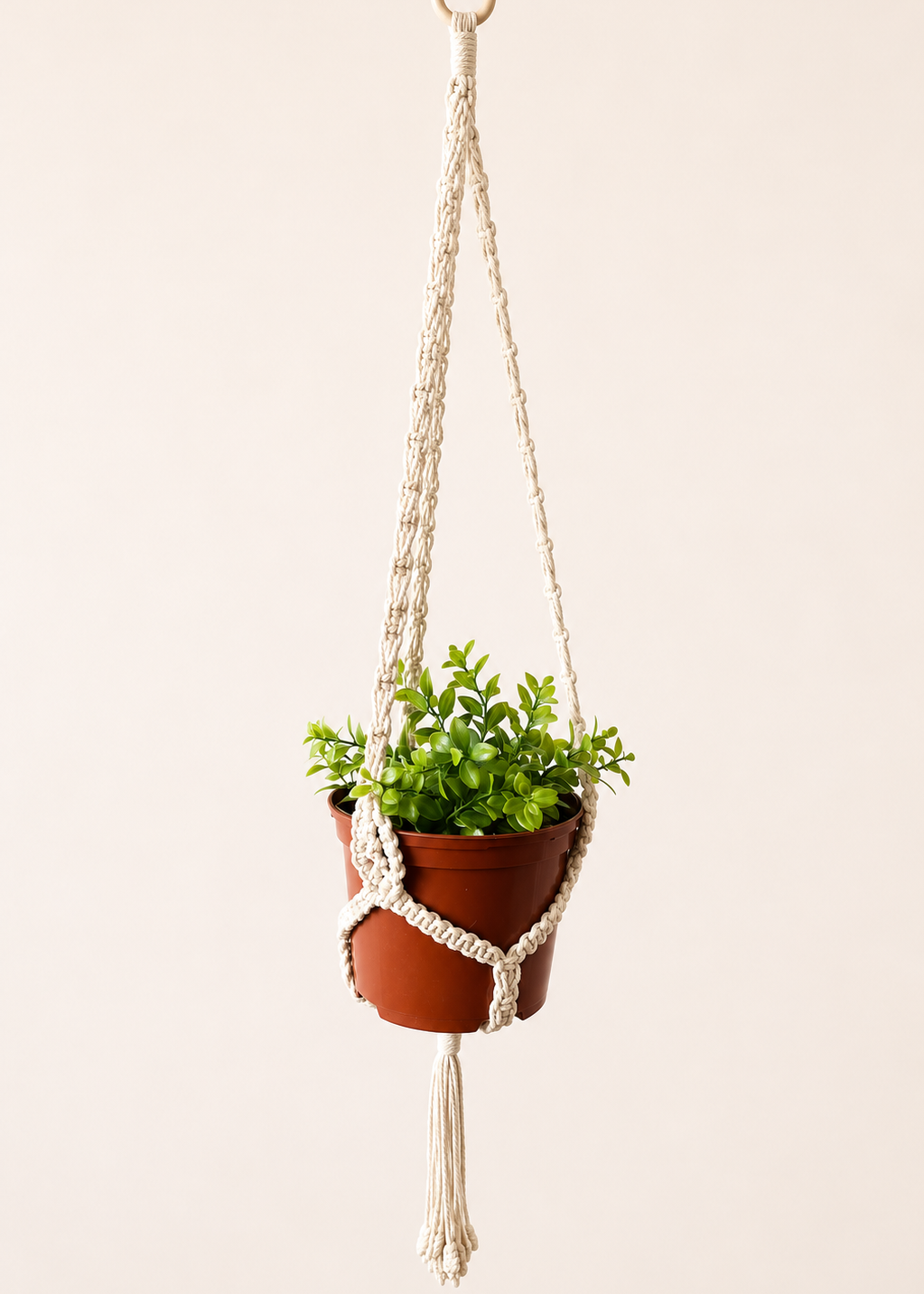 Knotted macrame plant hanger handmade from cotton cord with hanging indoor plant