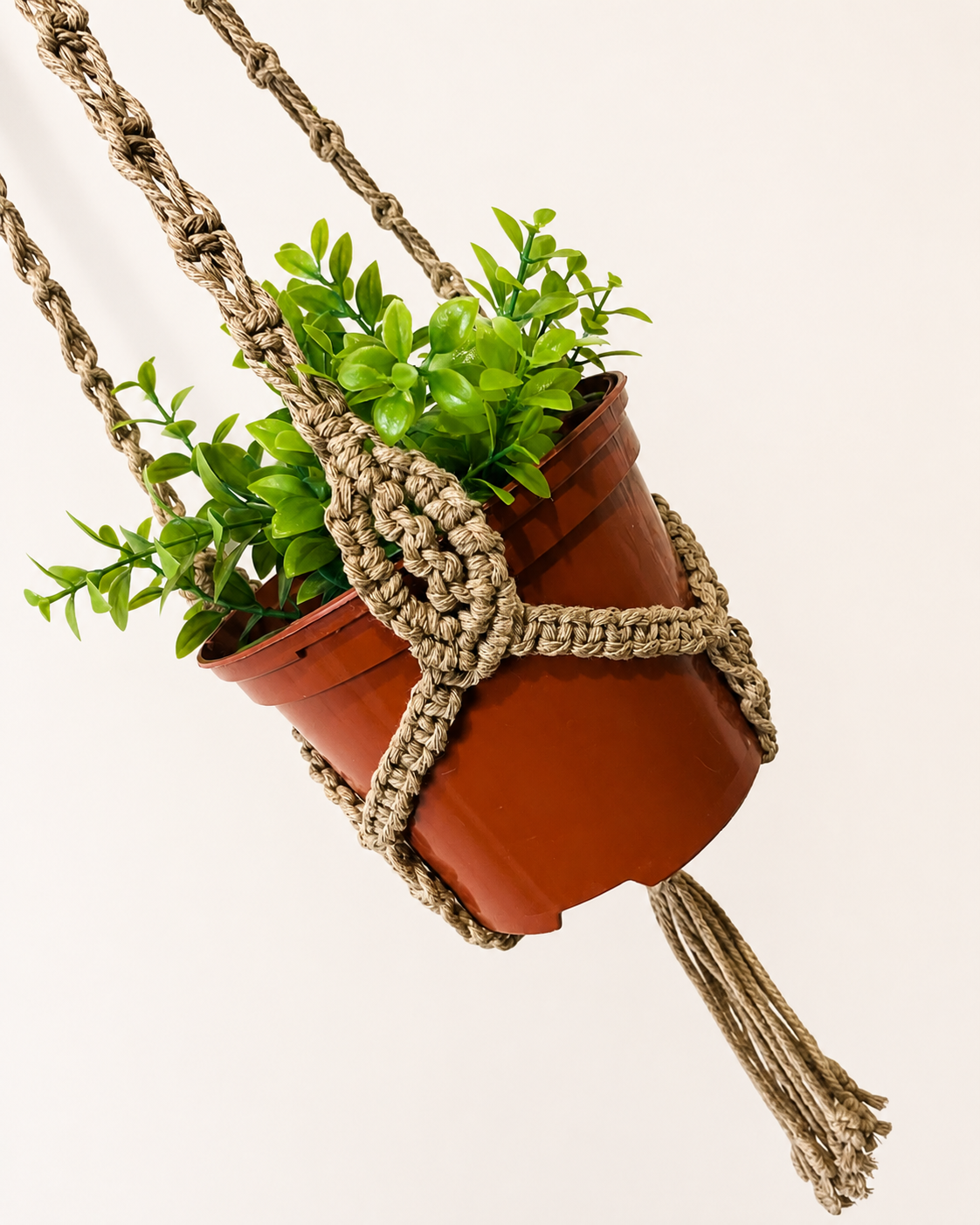 Detailed macrame knot design around hanging plant pot