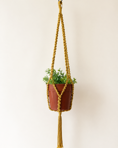 Mustard handmade macrame plant hanger featuring half hitch knots and a tassel, 90 cm long, styled with a small indoor plant.