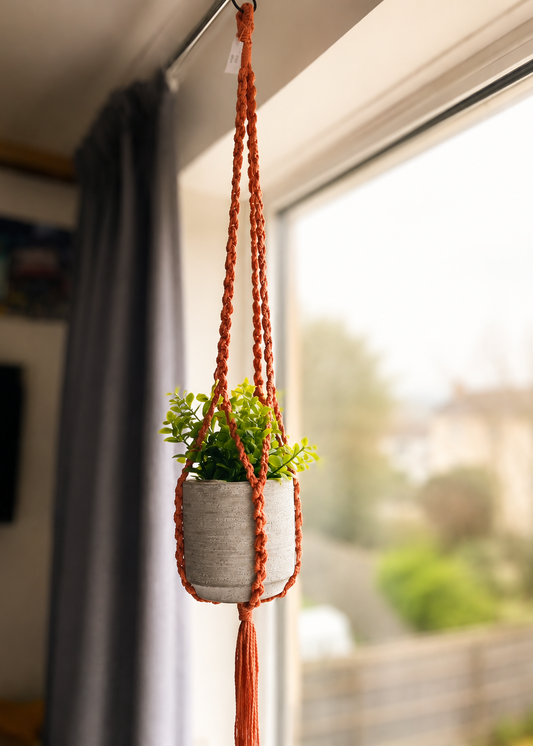 Hanging plant in a macrame holder by a window