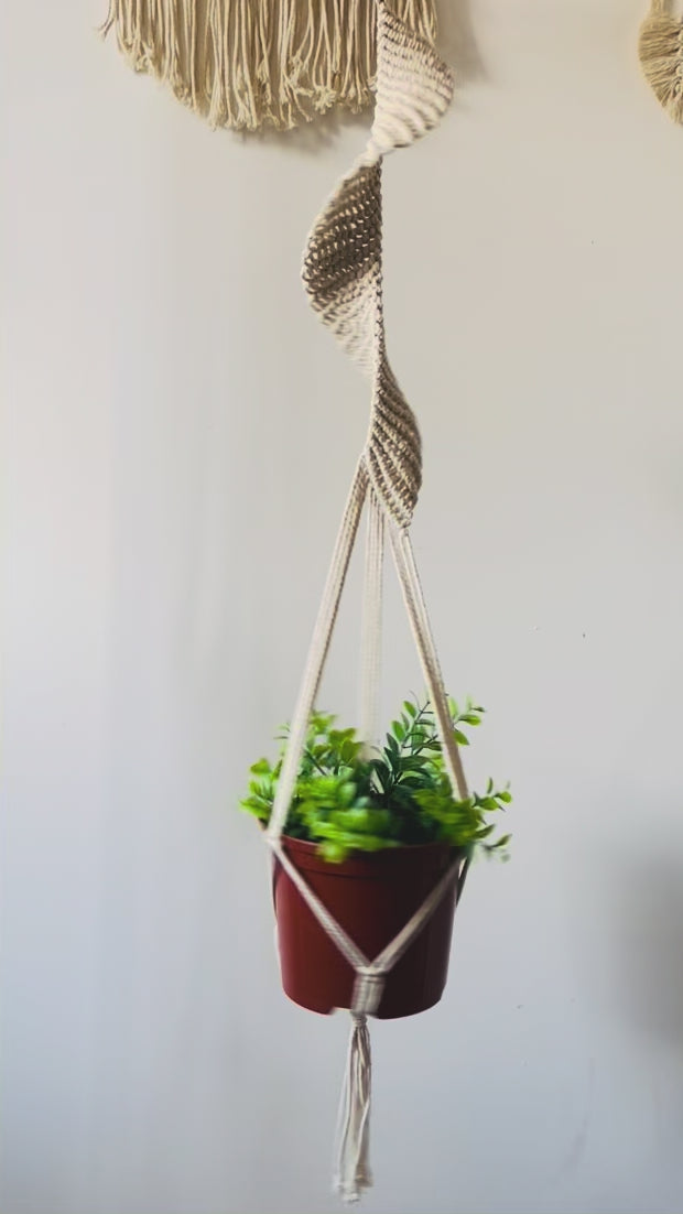 Video showing a handmade twisted macrame plant hanger with indoor potted plant