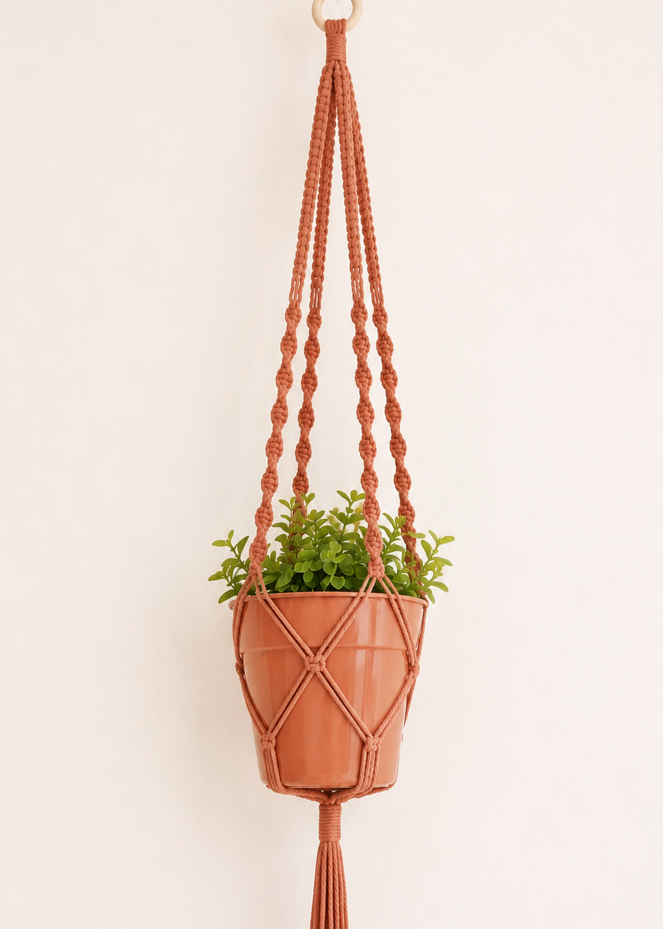 Terracotta macrame plant hanger handmade with cotton cord and wooden ring, featuring spiral and square knot details with a terracotta pot on an off-white background.